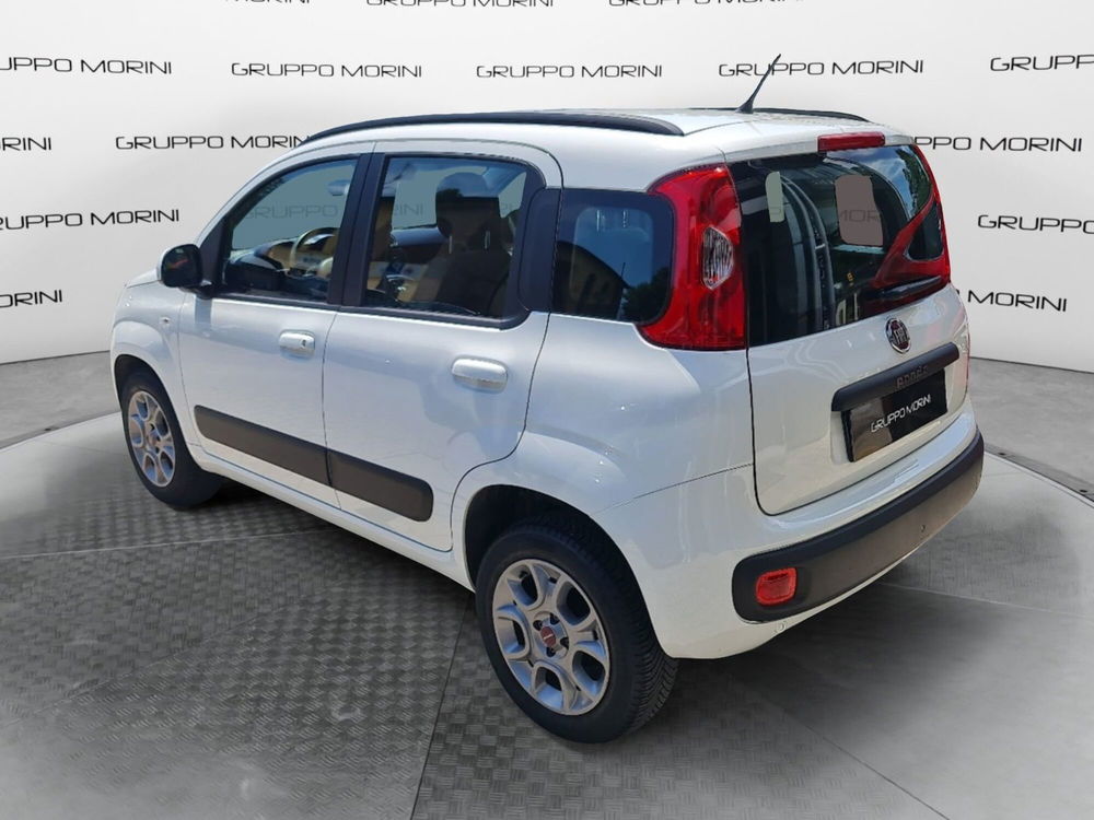 Fiat Panda usata a Bologna (4)