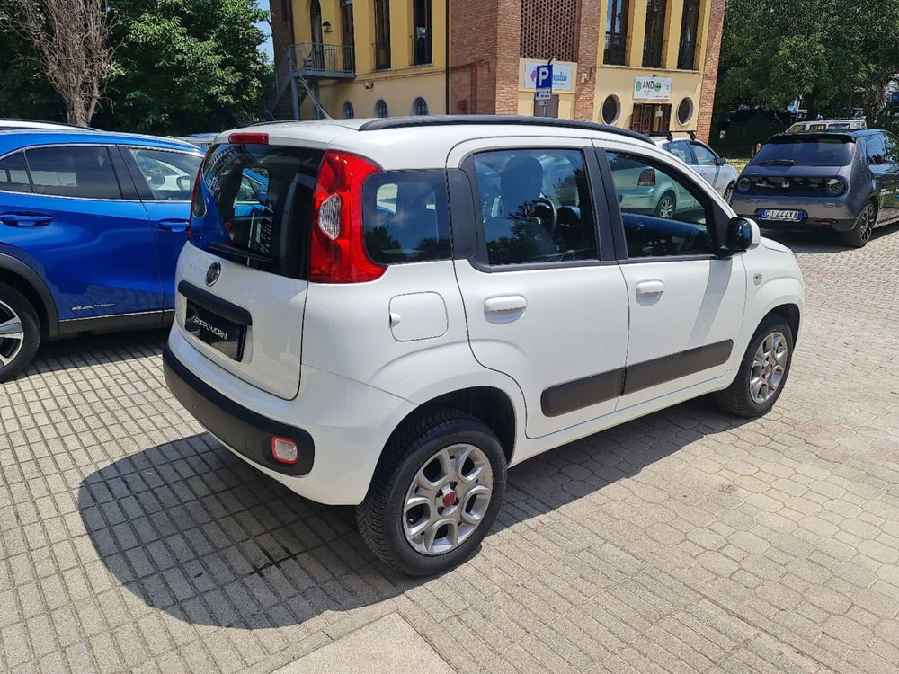 Fiat Panda usata a Bologna (6)