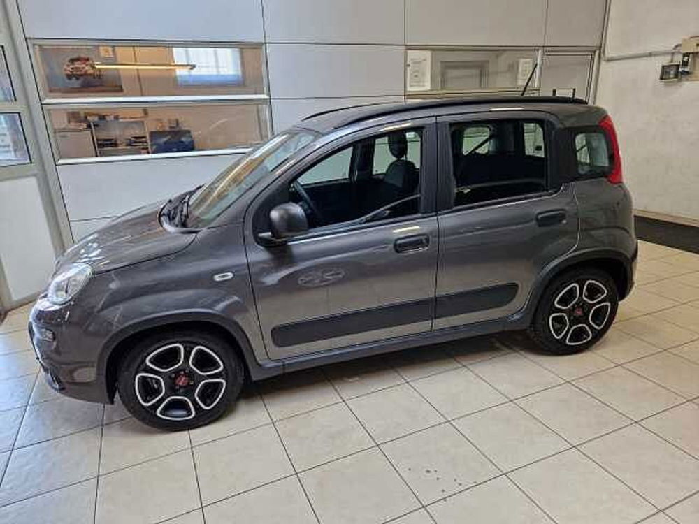 Fiat Panda usata a Varese (3)