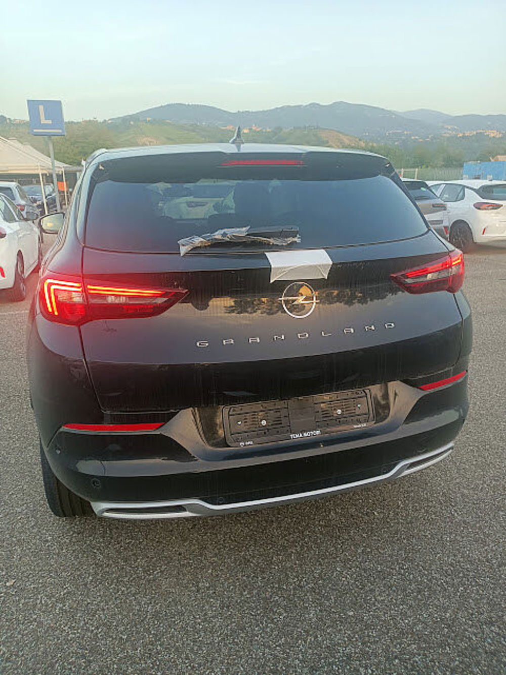 Opel Grandland X usata a Cosenza (3)