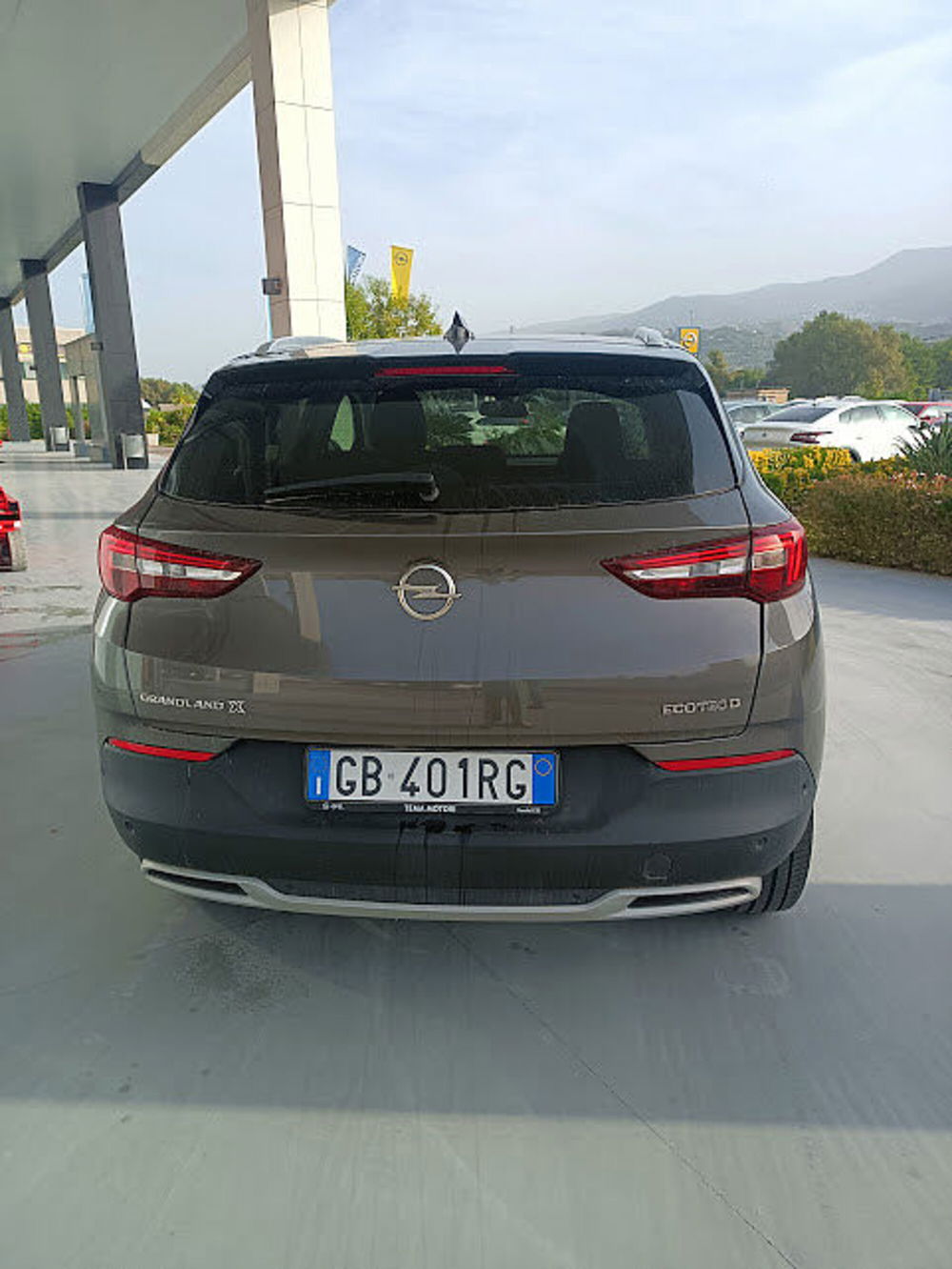 Opel Grandland X usata a Cosenza (3)