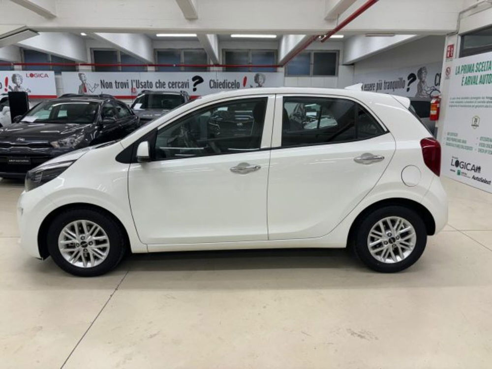 Kia Picanto usata a Torino (2)