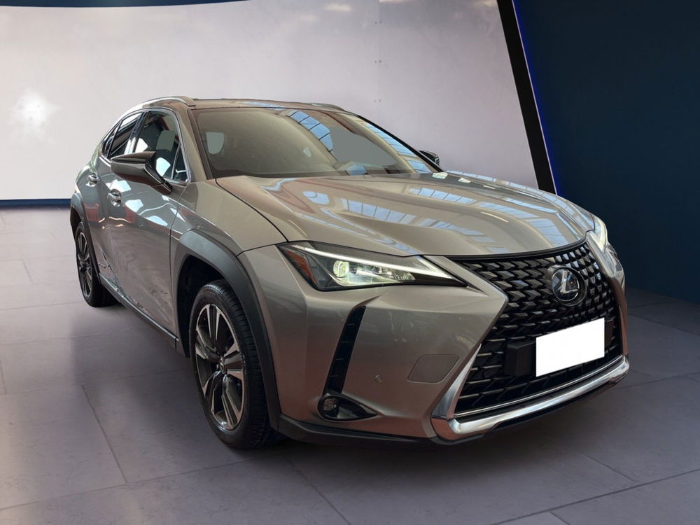 Lexus UX usata a Torino (2)