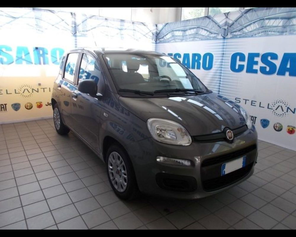 Fiat Panda usata a Aosta (2)