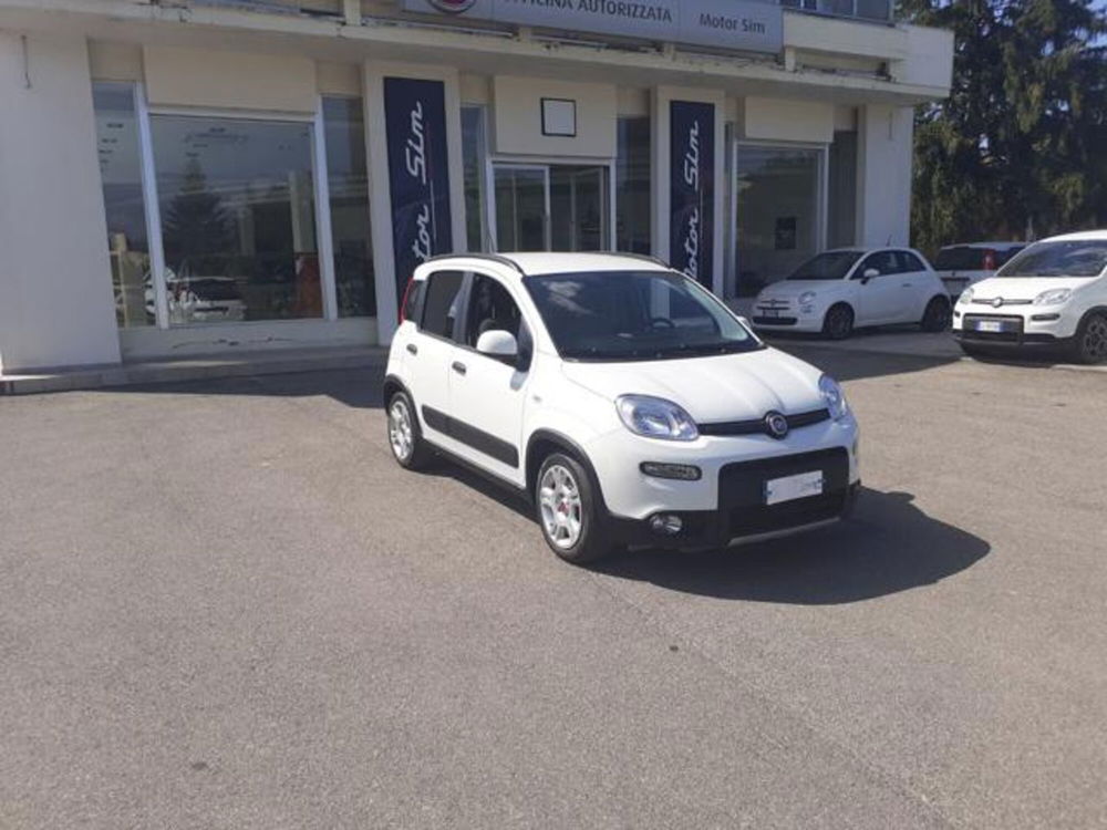 Fiat Panda usata a Firenze (2)