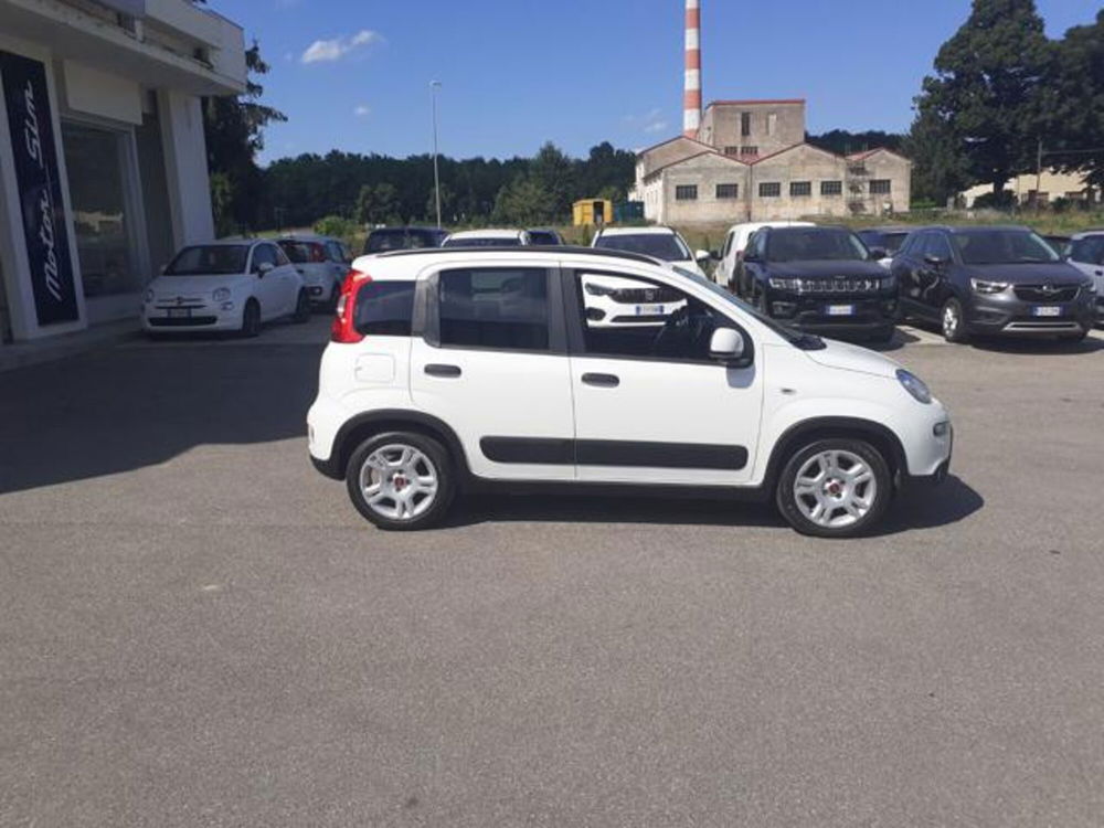 Fiat Panda usata a Firenze (3)