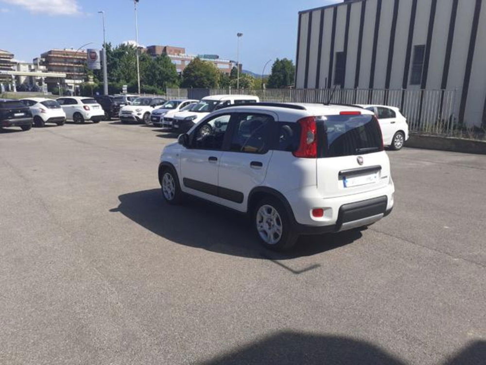 Fiat Panda usata a Firenze (6)