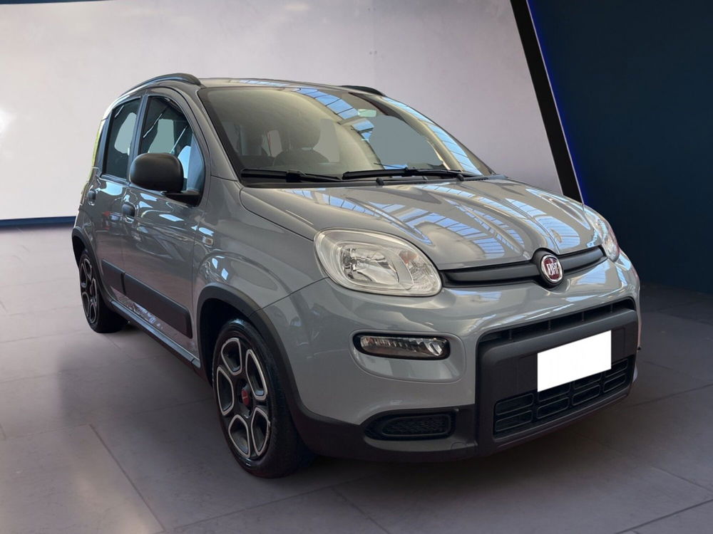 Fiat Panda usata a Torino (2)