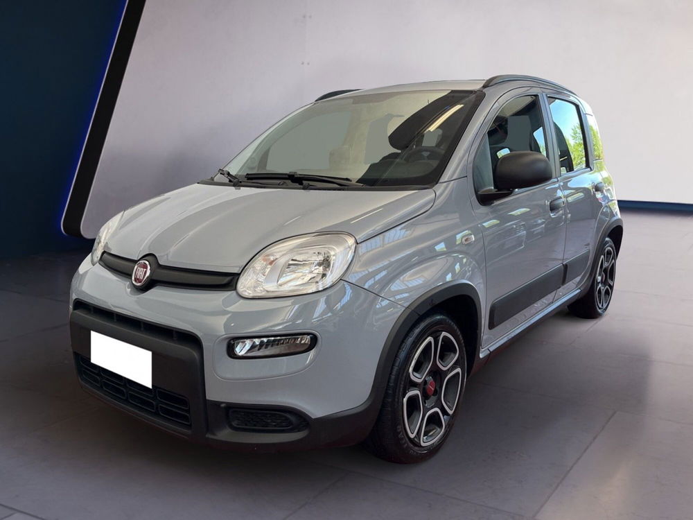 Fiat Panda usata a Torino (3)