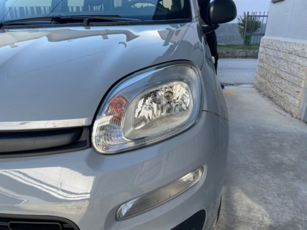 Fiat Panda usata a Perugia (10)