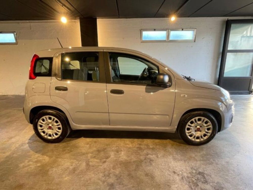 Fiat Panda usata a Perugia (8)