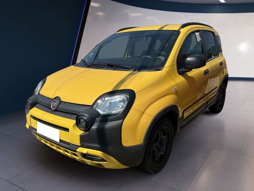 Fiat Panda usata a Torino