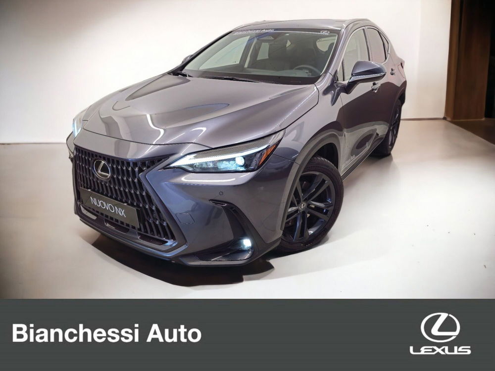 Lexus NX usata a Cremona