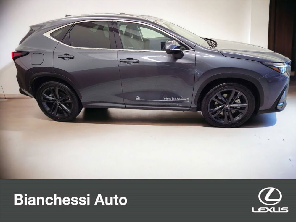 Lexus NX usata a Cremona (12)