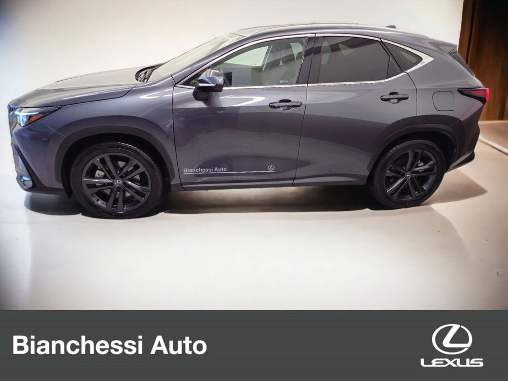 Lexus NX usata a Cremona (2)