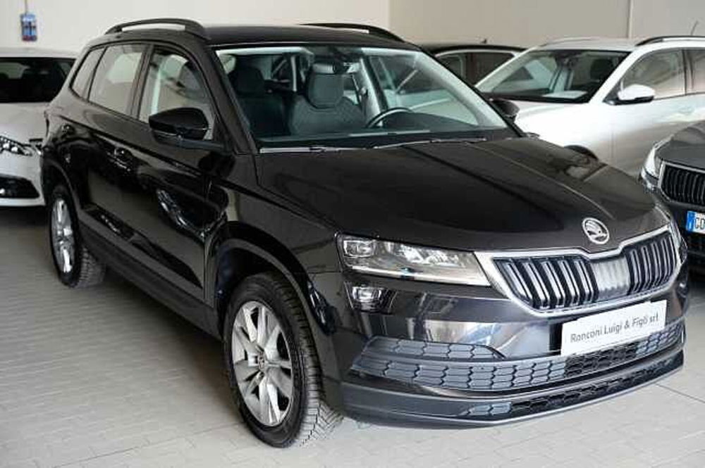 Skoda Karoq usata a Rovigo (2)