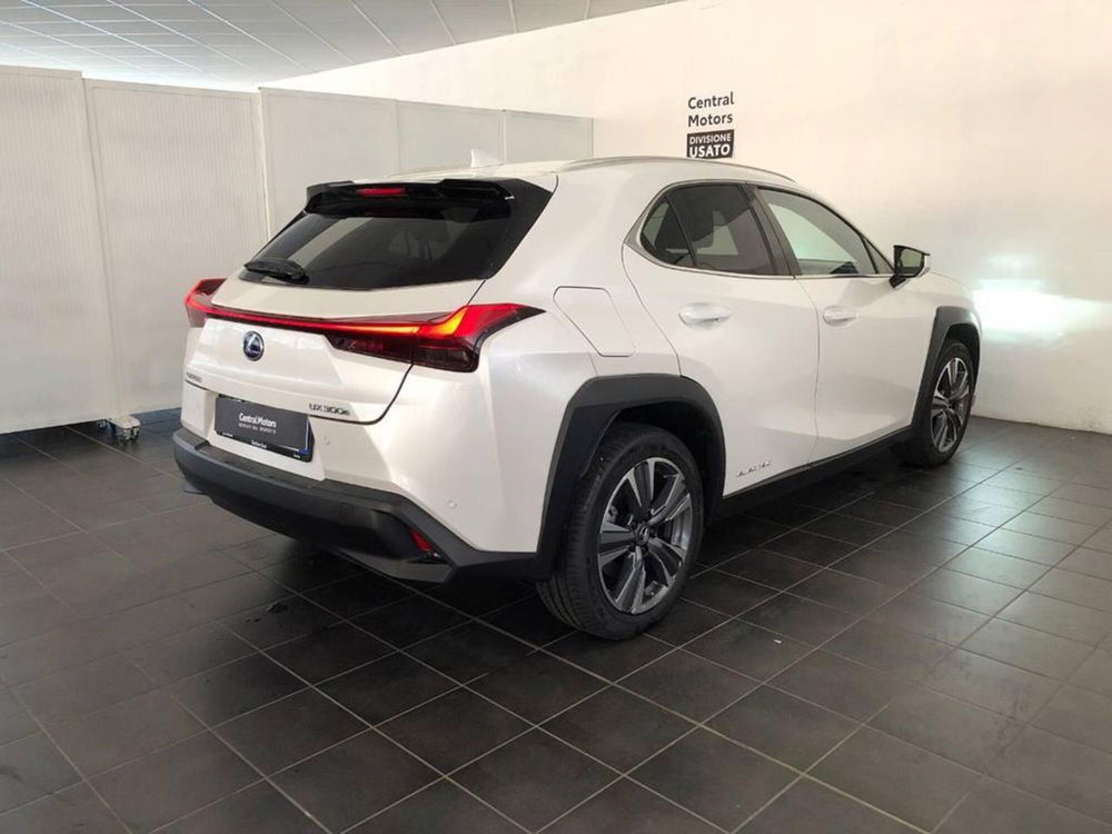 Lexus UX usata a Torino (4)