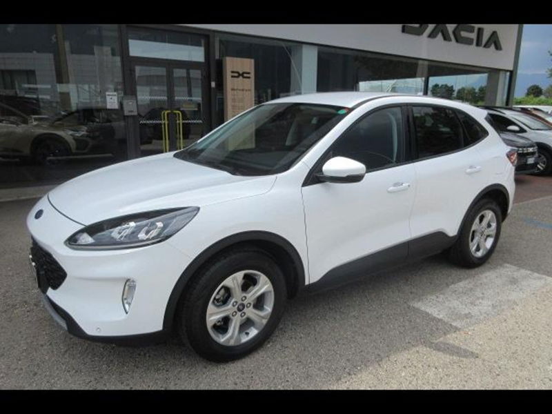 Ford Kuga 1.5 EcoBlue 120 CV 2WD Titanium  del 2021 usata a Vicenza