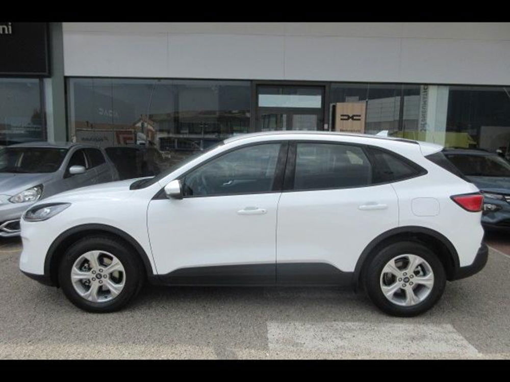 Ford Kuga usata a Vicenza (2)