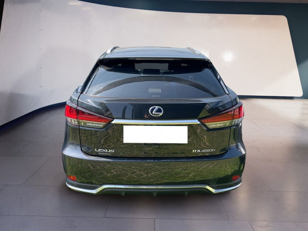 Lexus RX usata a Torino (6)