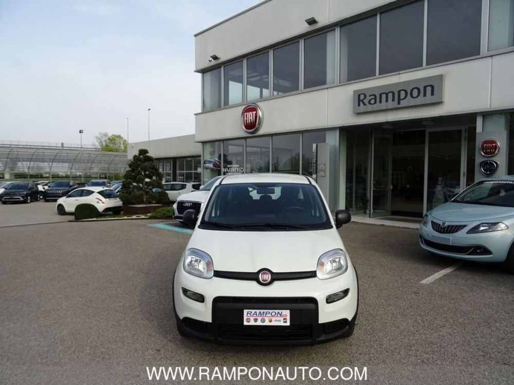 Fiat Panda Cross nuova a Venezia (6)