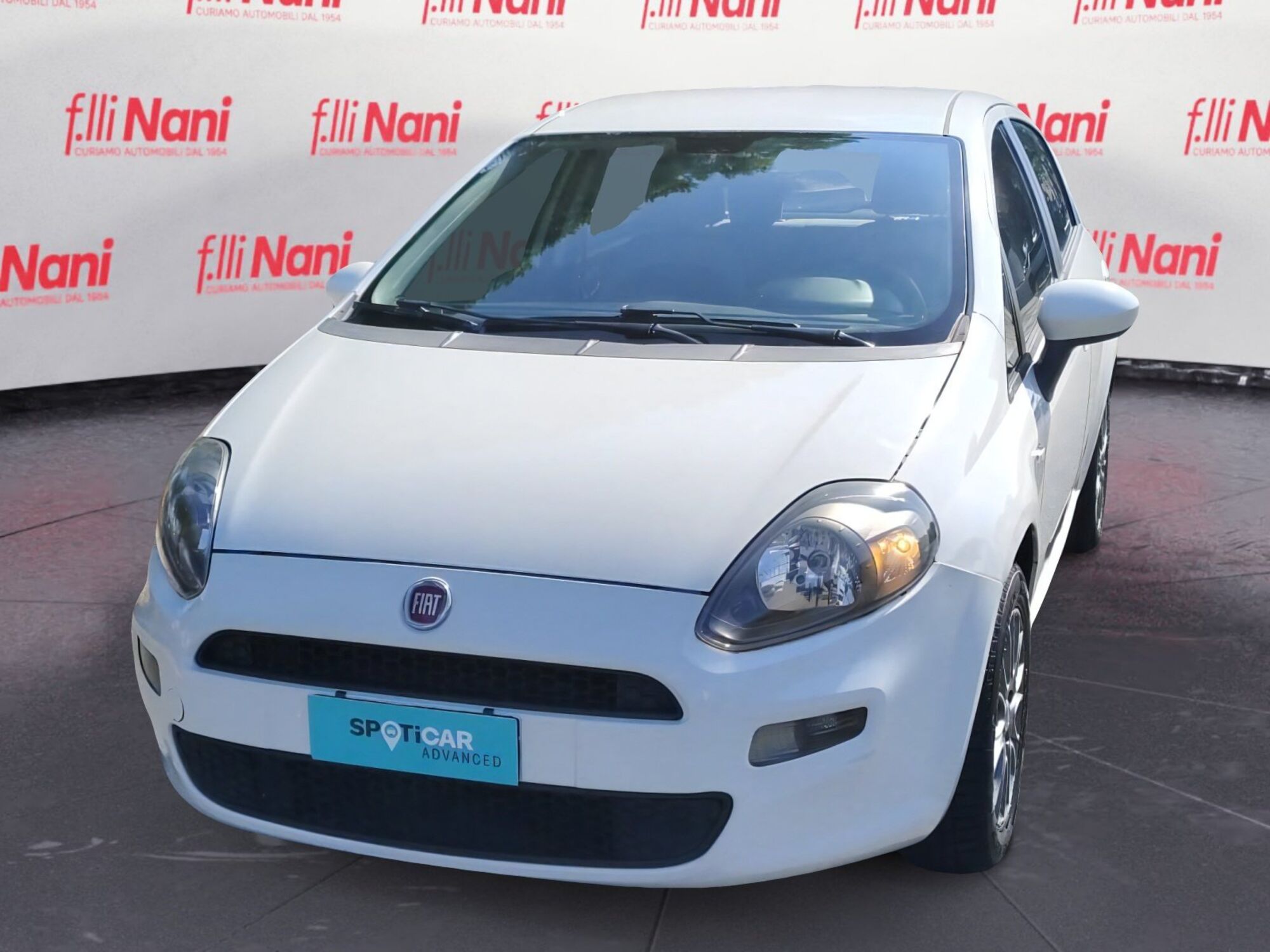 Fiat Punto 1.2 8V 5 porte Easy  del 2013 usata a Massa