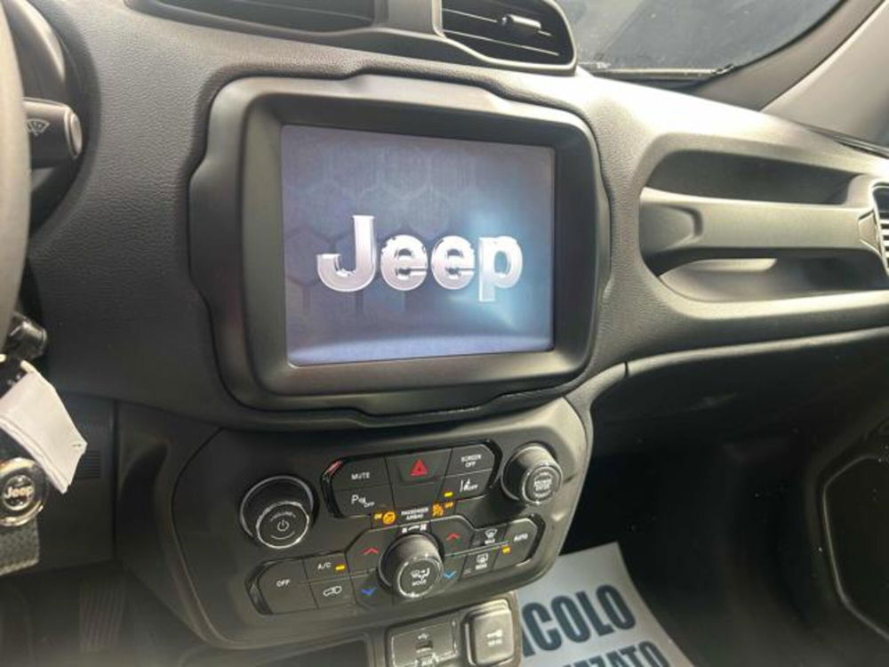 Jeep Renegade usata a Vercelli (15)