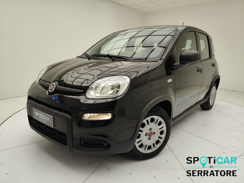 Fiat Panda 1.0 firefly hybrid s&amp;s 70cv 5p.ti del 2023 usata a Erba