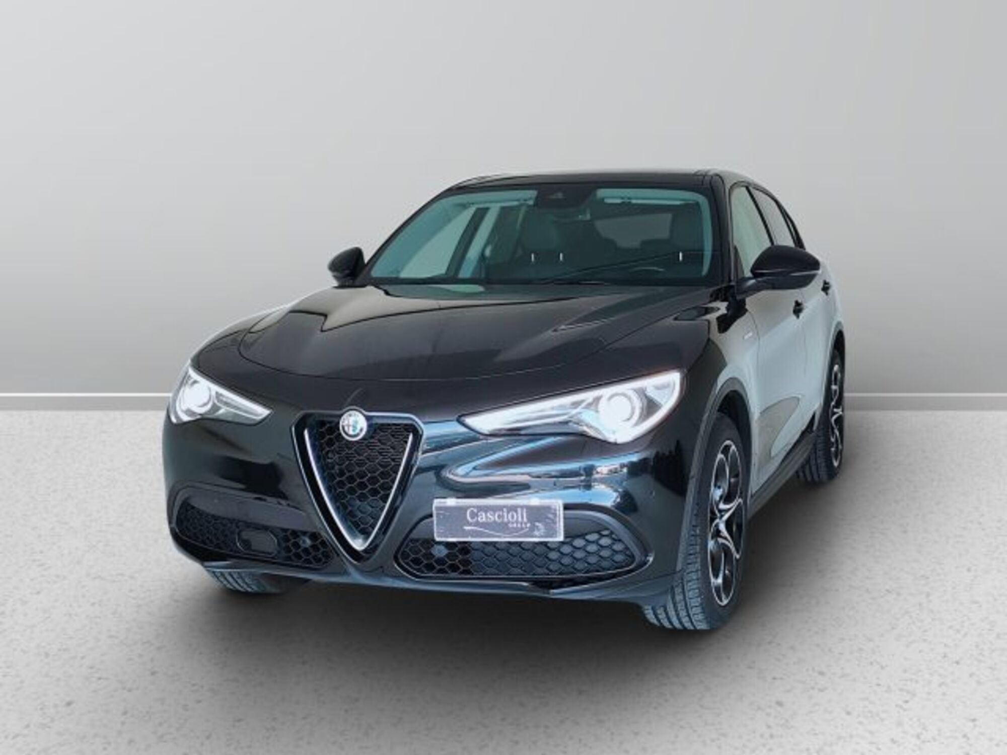 Alfa Romeo Stelvio Stelvio 2.2 Turbodiesel 190 CV AT8 Q4 Executive  del 2021 usata a Mosciano Sant&#039;Angelo