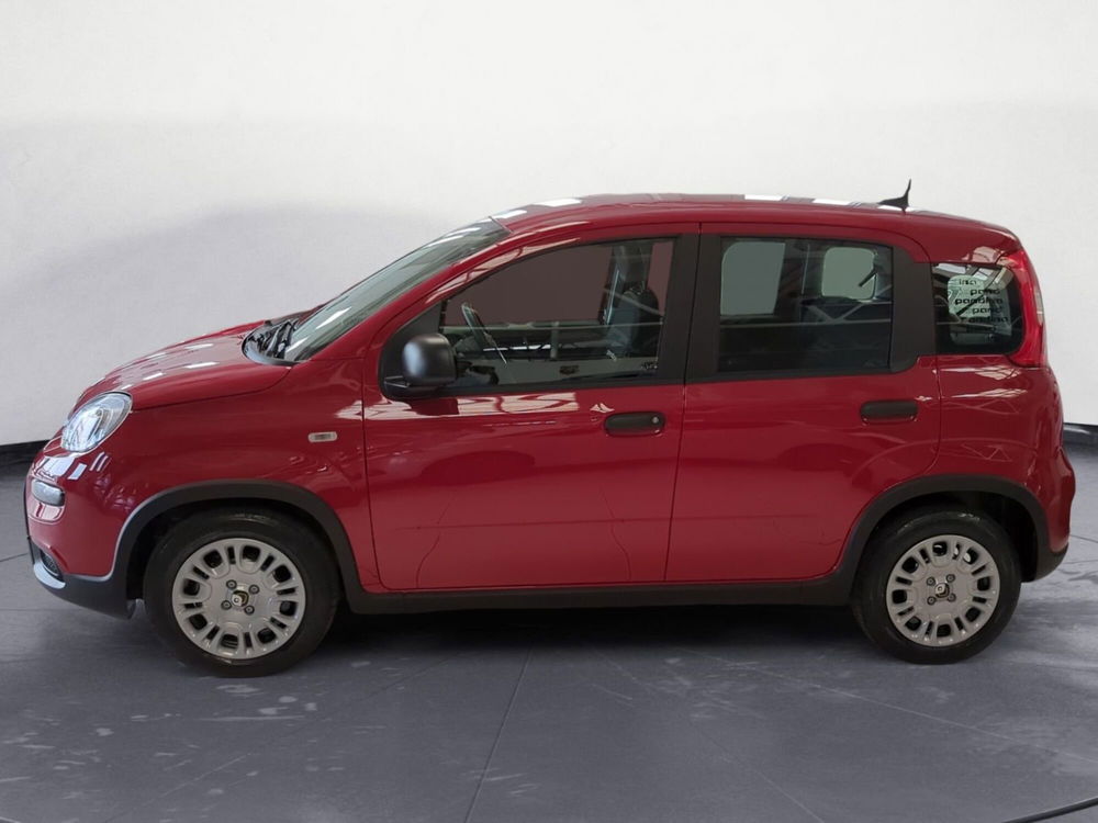 Fiat Panda Cross nuova a Pordenone (2)