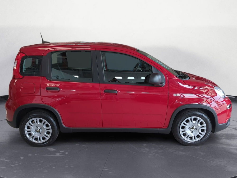 Fiat Panda Cross nuova a Pordenone (6)