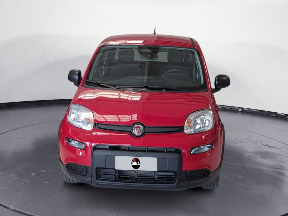 Fiat Panda Cross nuova a Pordenone (8)