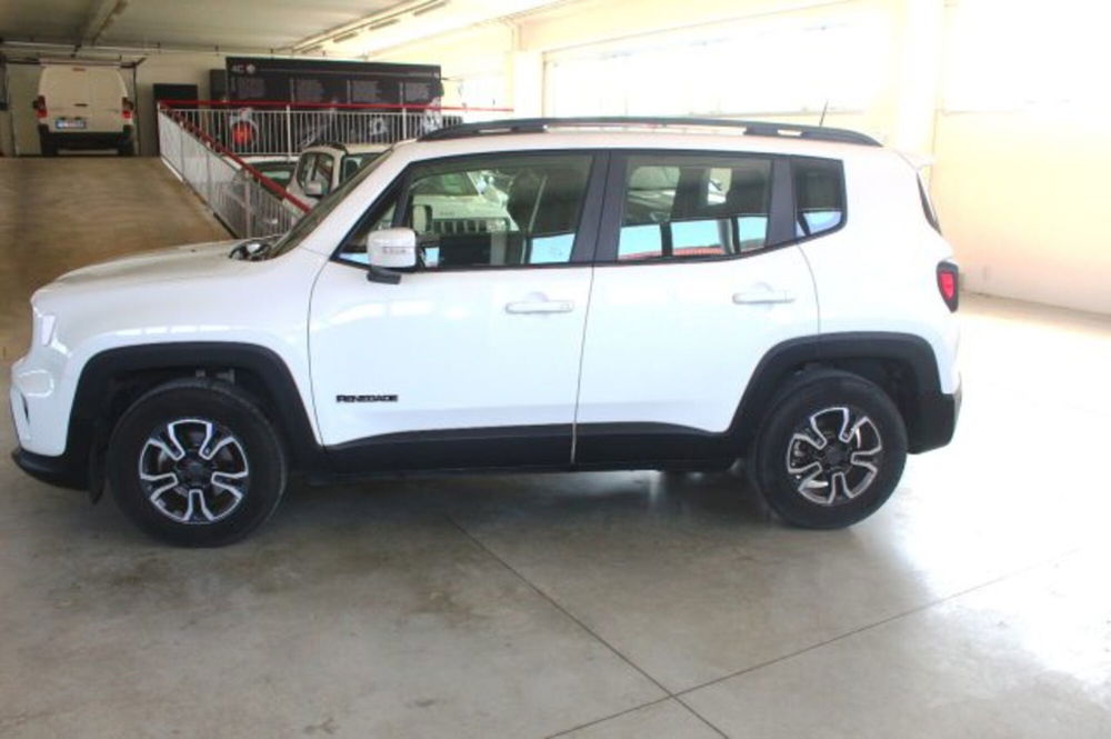 Jeep Renegade usata a Terni (3)