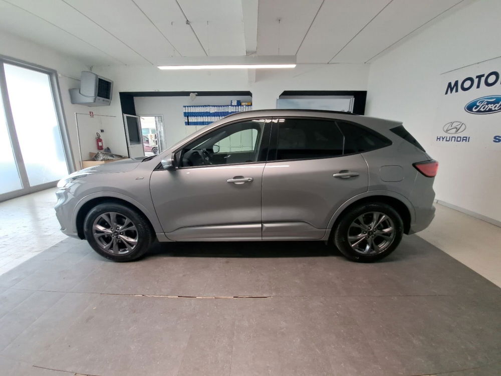 Ford Kuga usata a Arezzo (8)