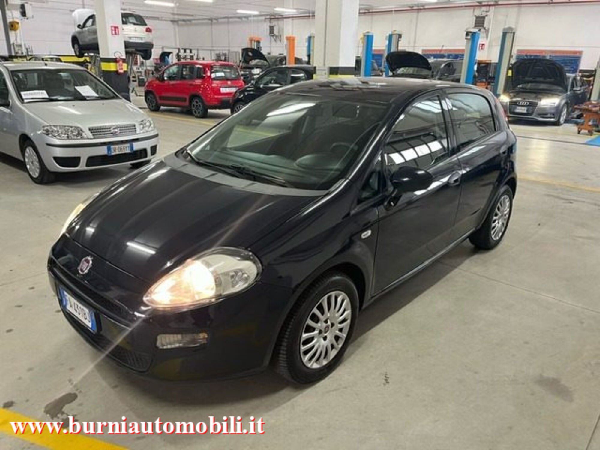 Fiat Punto 1.2 8V 5 porte Street  del 2015 usata a Cassano d&#039;Adda