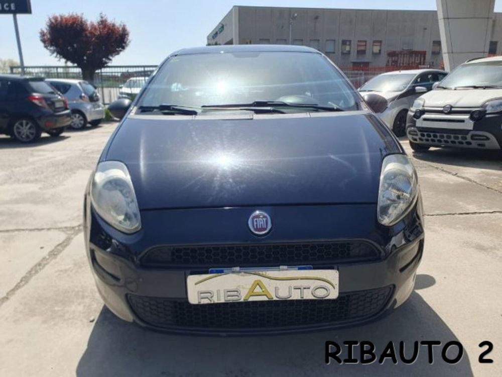 Fiat Punto usata a Cuneo (15)