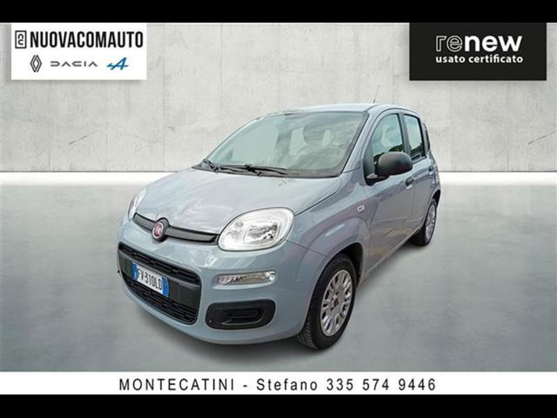 Fiat Panda 1.2 Easy  del 2019 usata a Sesto Fiorentino