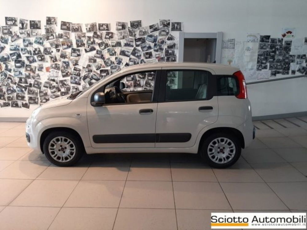 Fiat Panda usata a Messina (2)