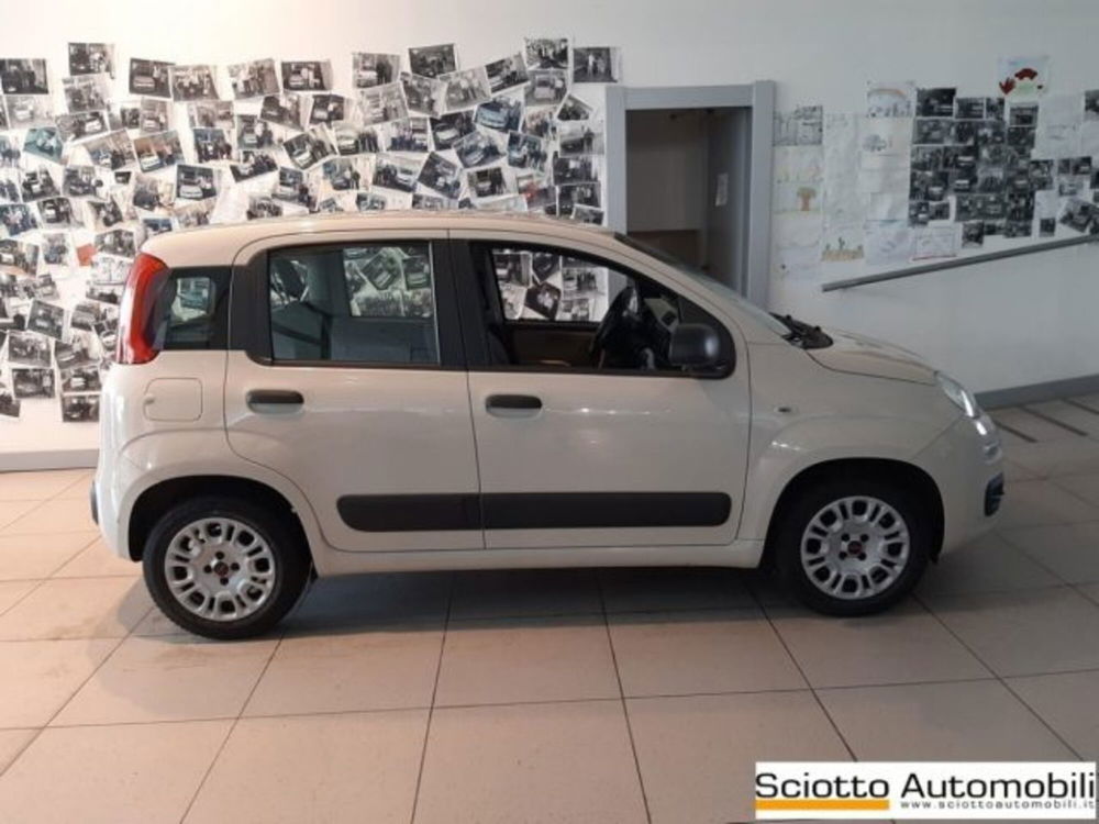 Fiat Panda usata a Messina (5)