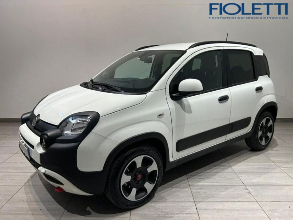 Fiat Panda Cross usata a Brescia