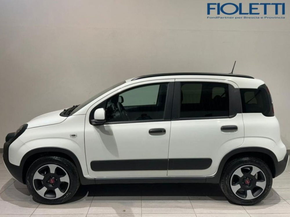 Fiat Panda Cross usata a Brescia (4)