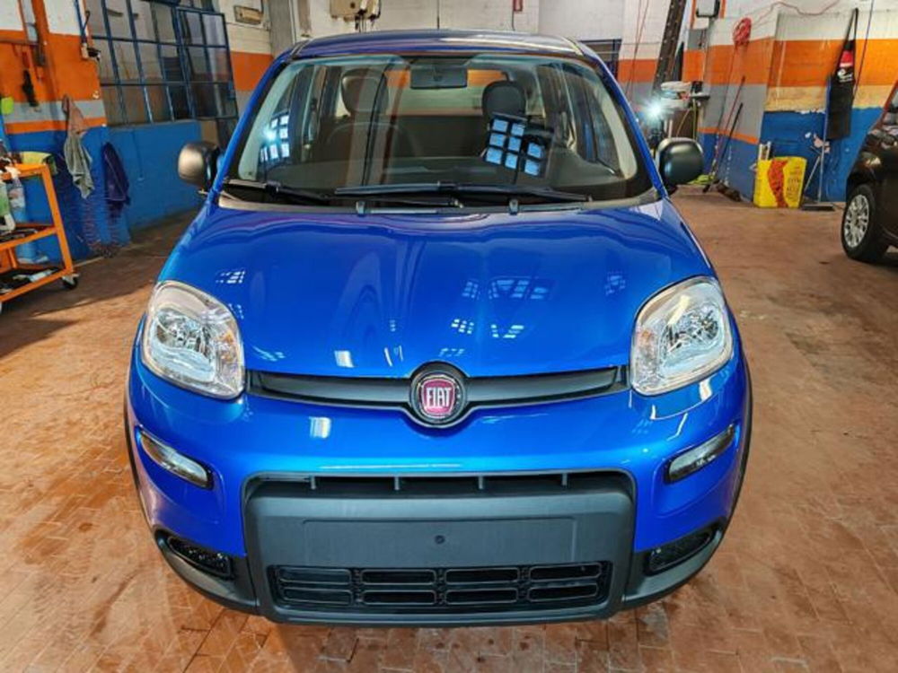 Fiat Panda nuova a Torino (2)