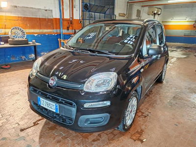 Fiat Panda 1.3 MJT S&amp;S Easy  del 2015 usata a Torino