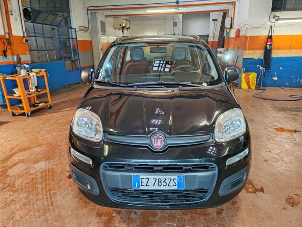 Fiat Panda usata a Torino (2)