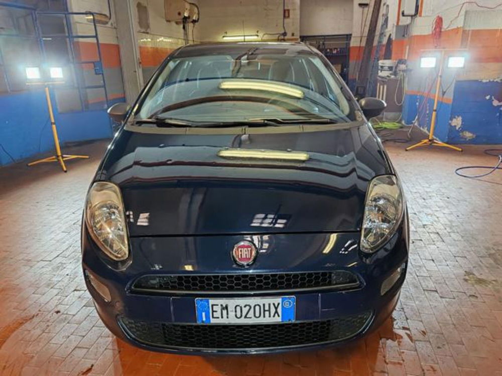 Fiat Punto Evo usata a Torino (2)