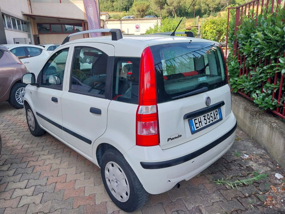 Fiat Panda usata a Arezzo (3)