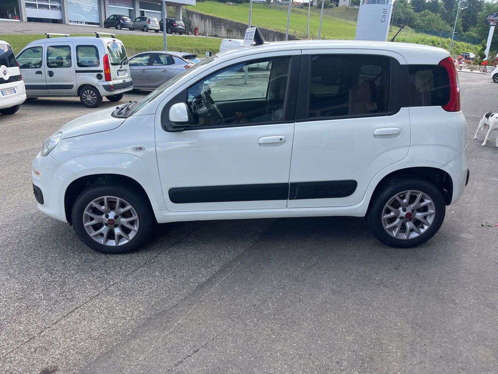 Fiat Panda usata a Reggio Emilia (2)