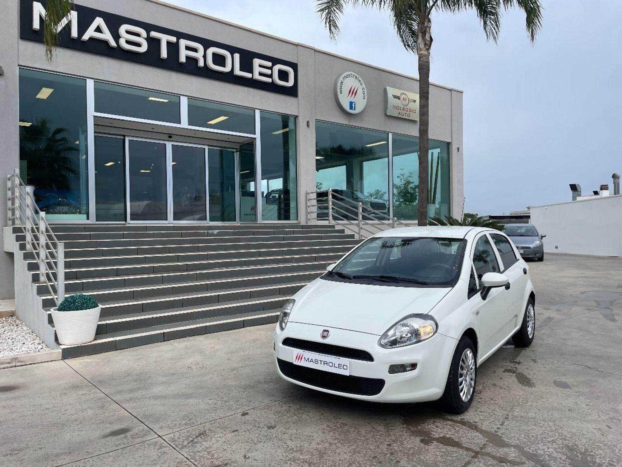 Fiat Punto 1.2 8V 5 porte Street  del 2017 usata a Tricase