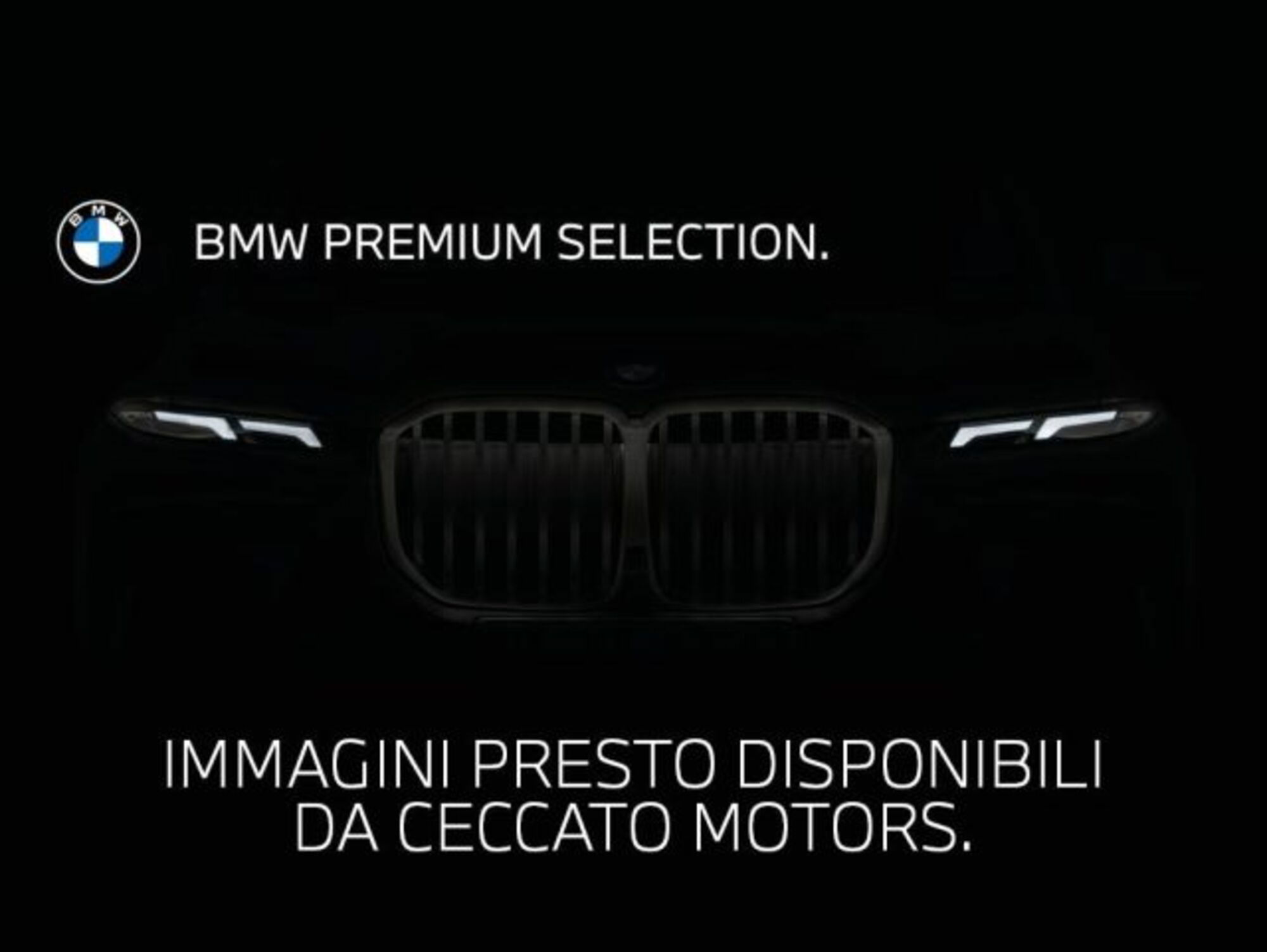 BMW Z4 Cabrio Z4 sDrive30i Msport del 2019 usata a Padova