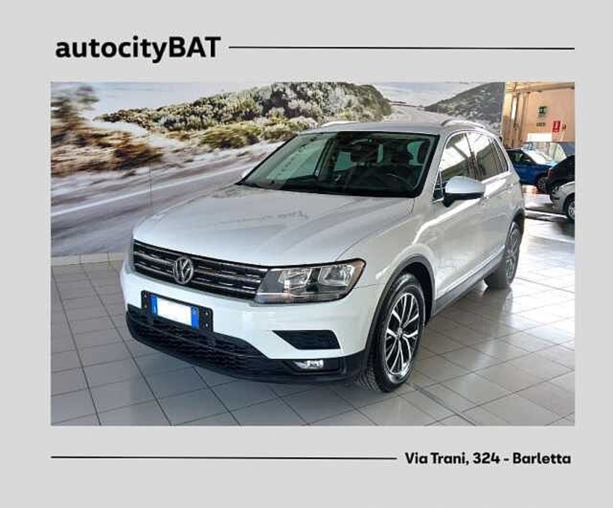 Volkswagen Tiguan 1.6 TDI SCR Business BlueMotion Technology  del 2019 usata a Barletta